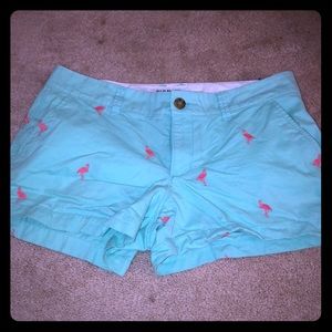 Flamingo shorts